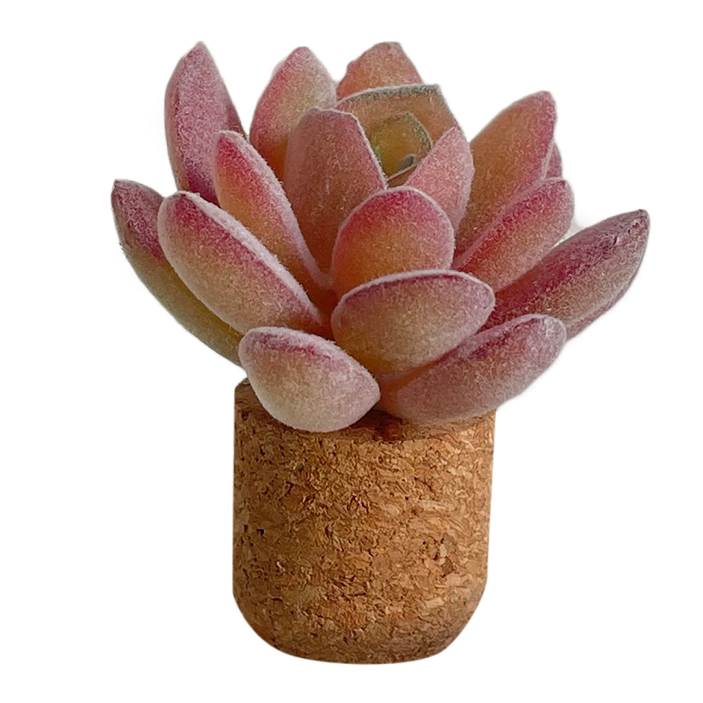 “Mini Car Scents 🌸 – Fresh & Fun Decor”