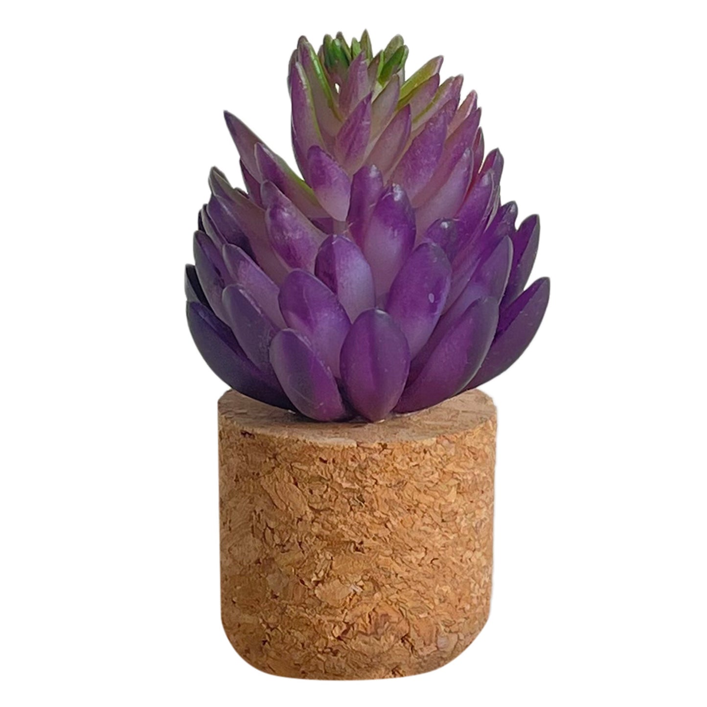 “Mini Car Scents 🌸 – Fresh & Fun Decor”