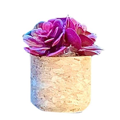 “Mini Car Scents 🌸 – Fresh & Fun Decor”