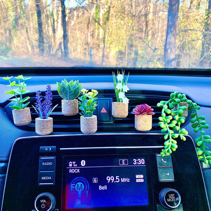 “Mini Car Scents 🌸 – Fresh & Fun Decor”